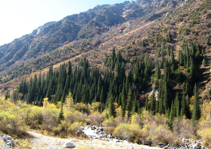 Mountain scenery