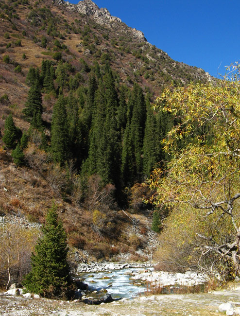 Glacier-fed stream