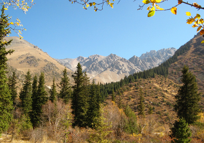 Mountain view from trail's end