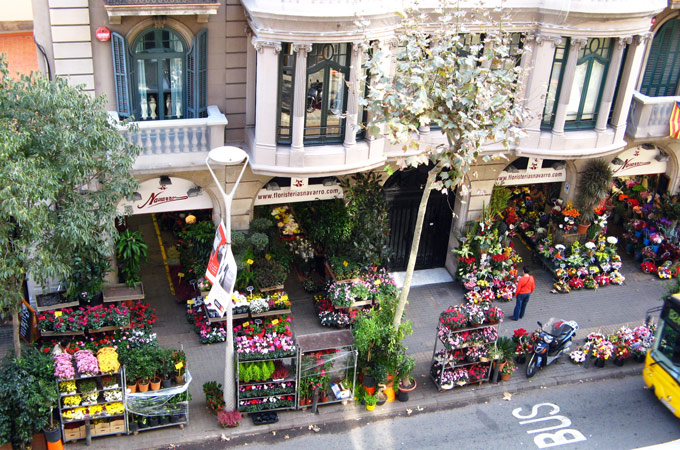 Florist across the street