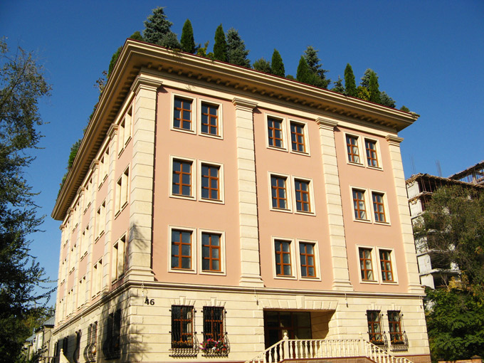 House with trees on top