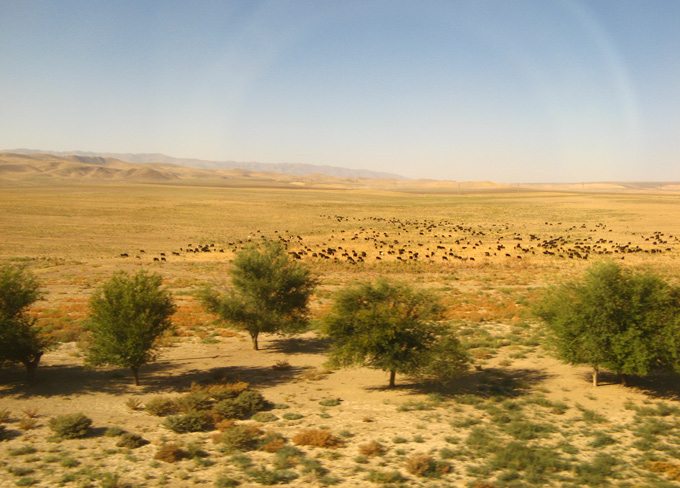 Uzbekistan scenery