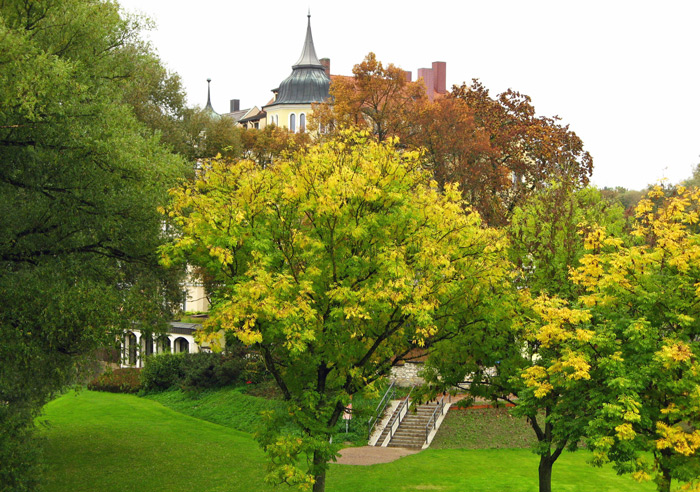 Fall colors near bridge