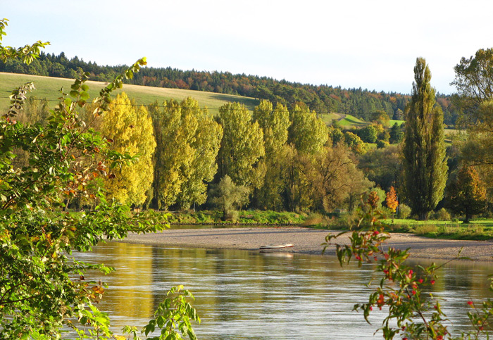 Walk along the Danube to a waiting bus