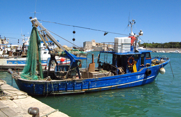 Trani harbor