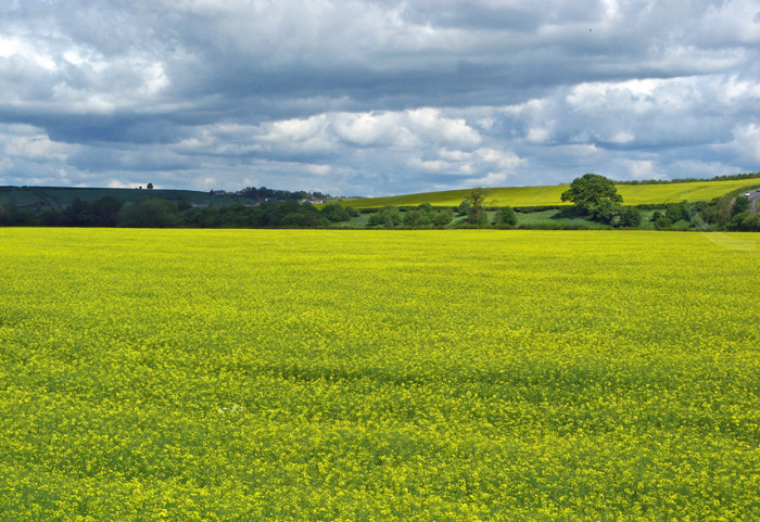 Yorkshire scenery