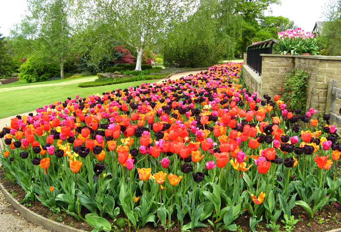 Harlow Carr Gardens