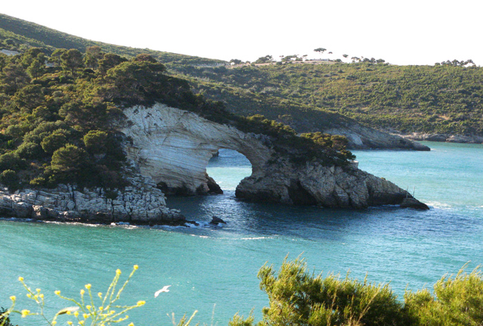 Sea arch on Gargano Peninsula