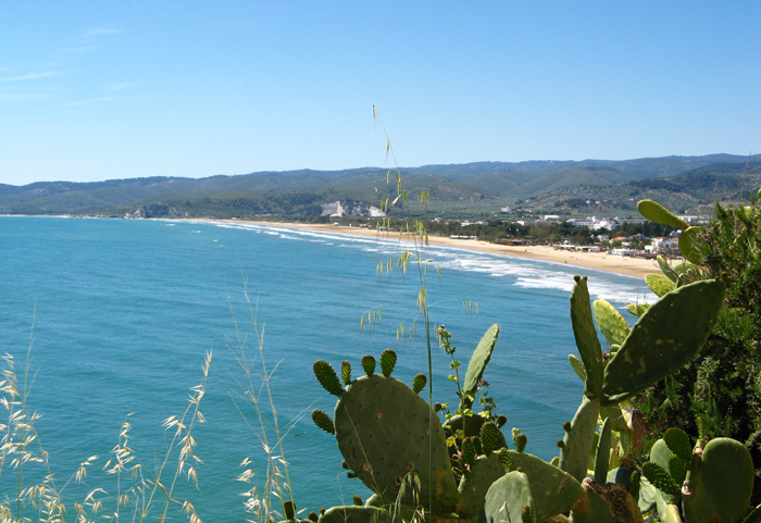 Vieste’s finest beach