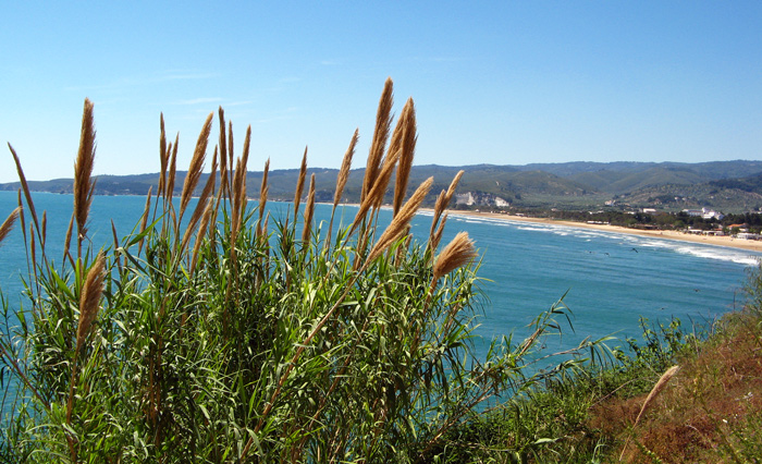 Vieste’s finest beach