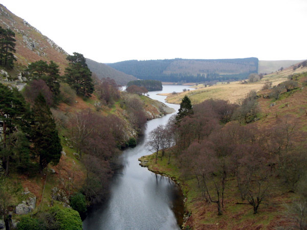 The View Downstream