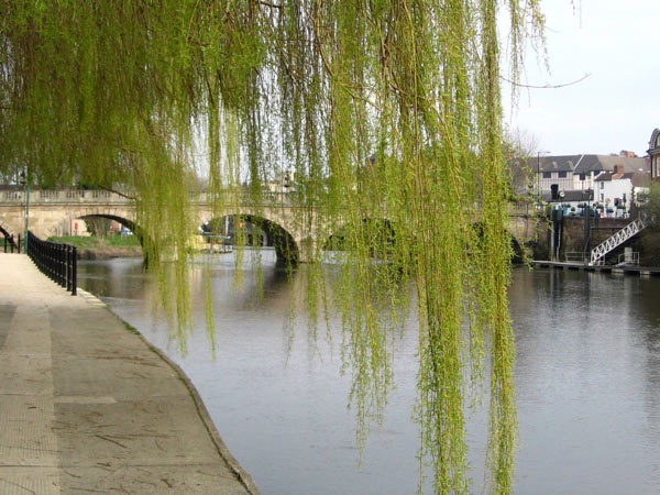 Walk along the Severn