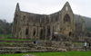 Tintern Abbey