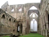 Tintern Abbey