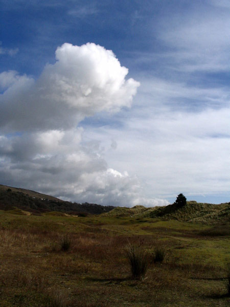 Oxwich Beach Nature Reserve