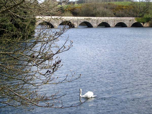 Bosherton Pond