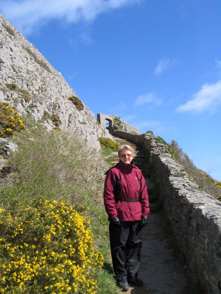 Patty on way to beach on cold windy day