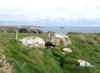 Pembrokeshire Coastline