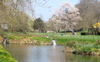 Castle grounds in Museum of Welsh Life