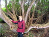 Patty & the giant Rhododendrons