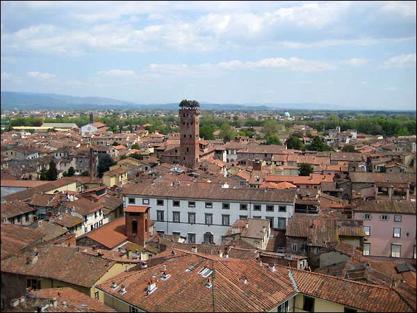 View of Lucca