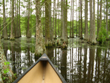 Canoeing in Delaware